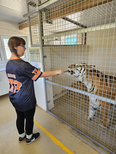 Lincolnshire Wildlife Park 20250808 165725 011