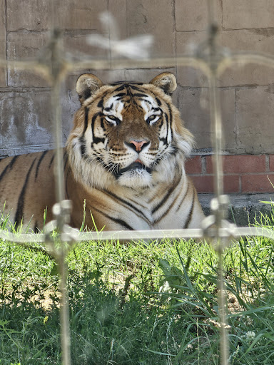 Lincolnshire Wildlife Park 20250808 165726 012