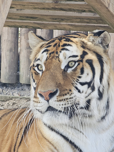 Lincolnshire Wildlife Park 20250808 165727 014