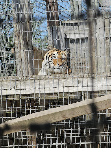 Lincolnshire Wildlife Park 20250808 165728 015