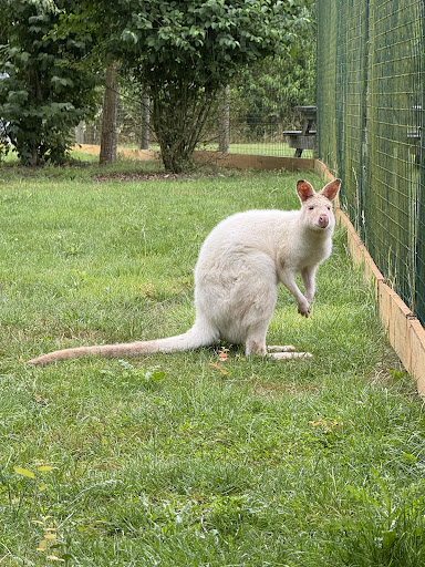 Lincolnshire Wildlife Park 20250808 165731 019