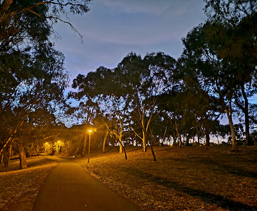 Linear Park Windsor Grove Playground 20250824 013950 001