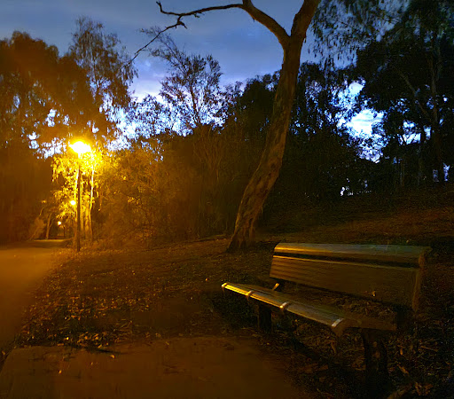 Linear Park Windsor Grove Playground 20250824 013950 002