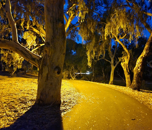 Linear Park Windsor Grove Playground 20250824 013952 004