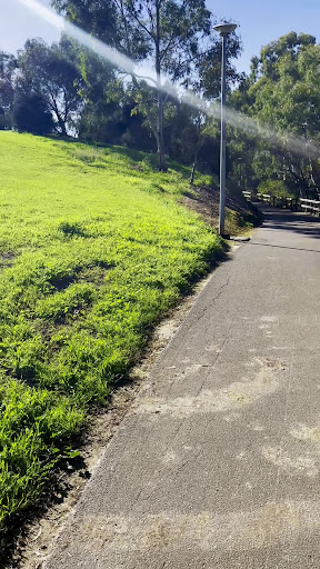 Linear Park Windsor Grove Playground 20250824 013953 005