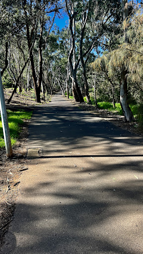Linear Park Windsor Grove Playground 20250824 013955 007