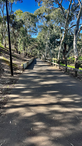 Linear Park Windsor Grove Playground 20250824 013956 008