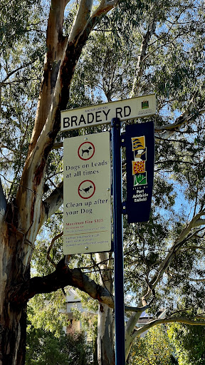 Linear Park Windsor Grove Playground 20250824 013956 009