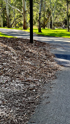 Linear Park Windsor Grove Playground 20250824 013957 010