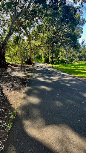 Linear Park Windsor Grove Playground 20250824 013959 012
