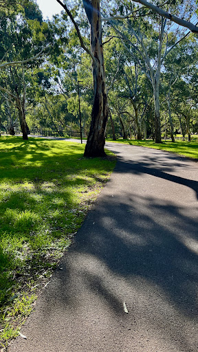 Linear Park Windsor Grove Playground 20250824 013959 013