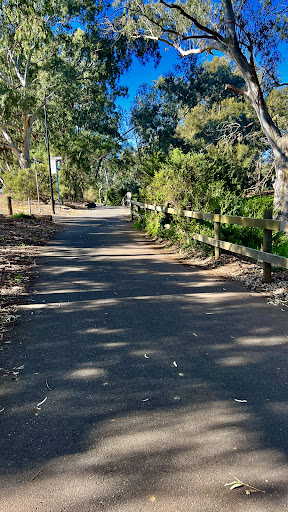 Linear Park Windsor Grove Playground 20250824 014001 015