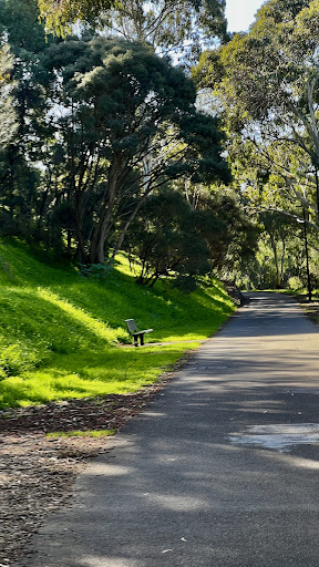 Linear Park Windsor Grove Playground 20250824 014002 016