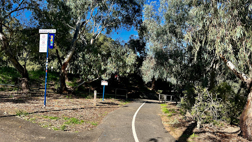 Linear Park Windsor Grove Playground 20250824 014005 020