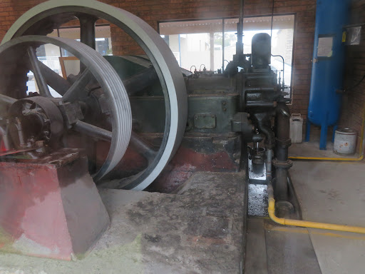 Lions Park 20250824 040843 008