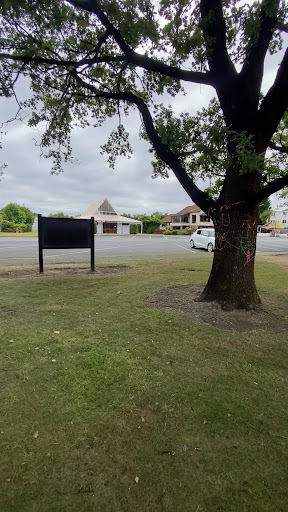 Lions Park 20250818 172914 006