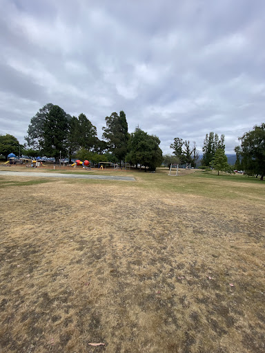 Lions Park 20250818 172917 009