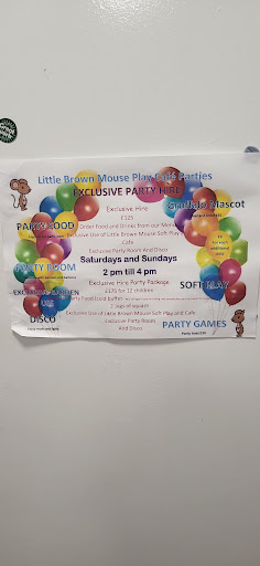 Little Brown mouse play cafe 20250808 173427 010