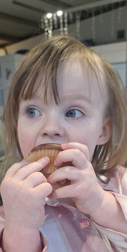 Little Lobsters Play Centre 20250808 175910 002