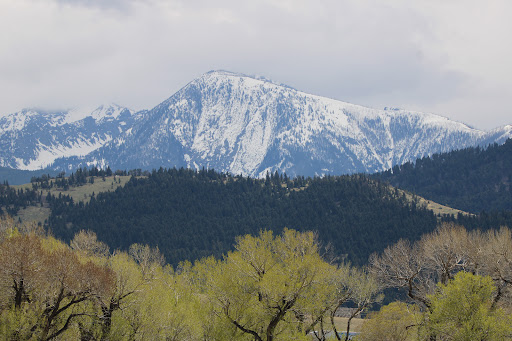 Livingston Parks Recreation 20250727 083703 014