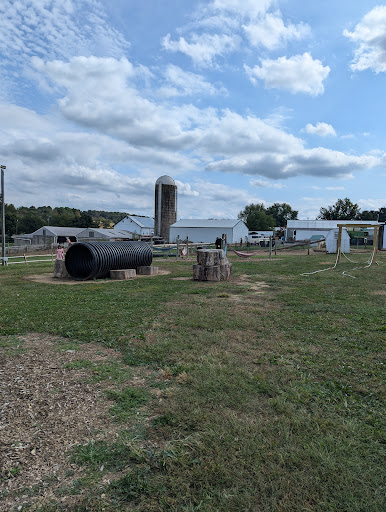 Local Homestead Products LLC 20250727 023610 009