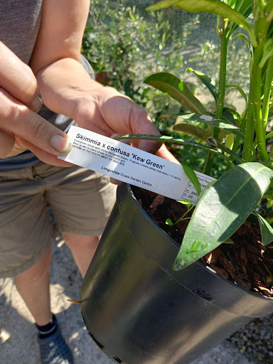 Longcombe Cross Garden Centre 20250808 203236 005