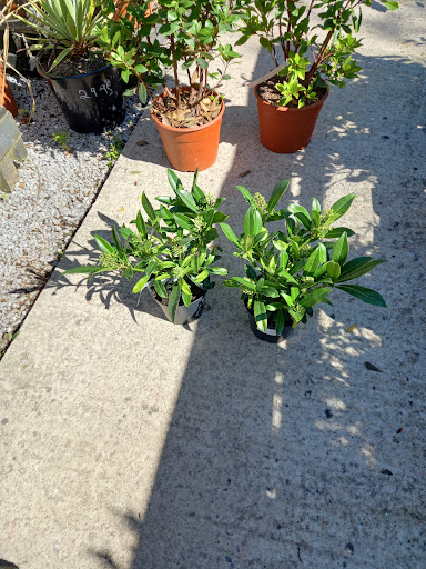 Longcombe Cross Garden Centre 20250808 203237 006