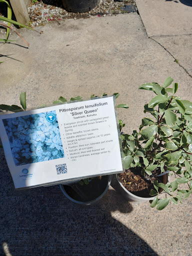 Longcombe Cross Garden Centre 20250808 203238 007