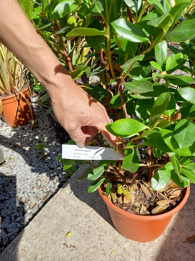 Longcombe Cross Garden Centre 20250808 203239 008