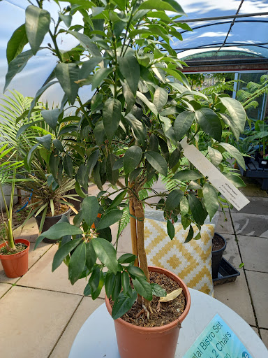 Longcombe Cross Garden Centre 20250808 203242 012