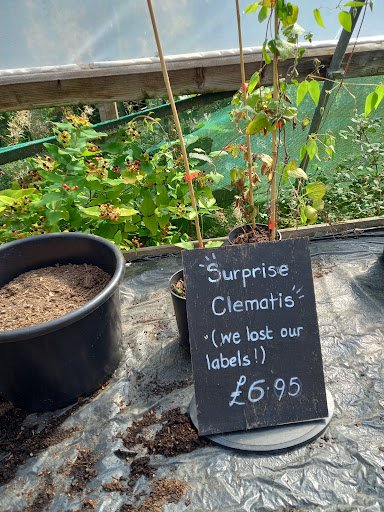 Longcombe Cross Garden Centre 20250808 203246 016