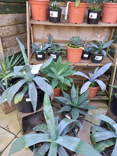 Longcombe Cross Garden Centre 20250808 203247 018