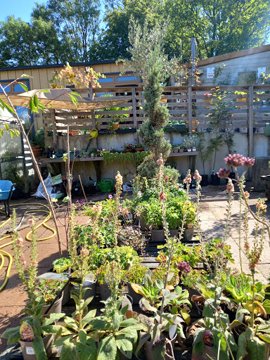 Longcombe Cross Garden Centre 20250808 203248 019