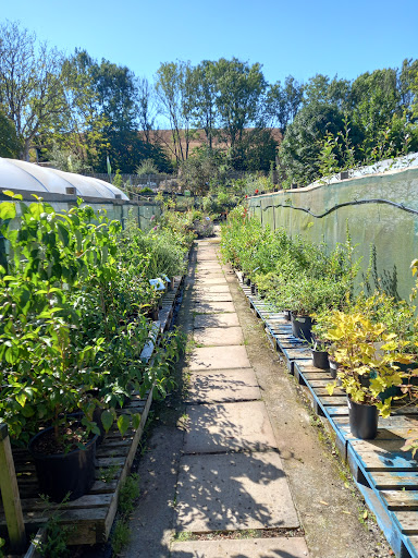 Longcombe Cross Garden Centre 20250808 203249 020