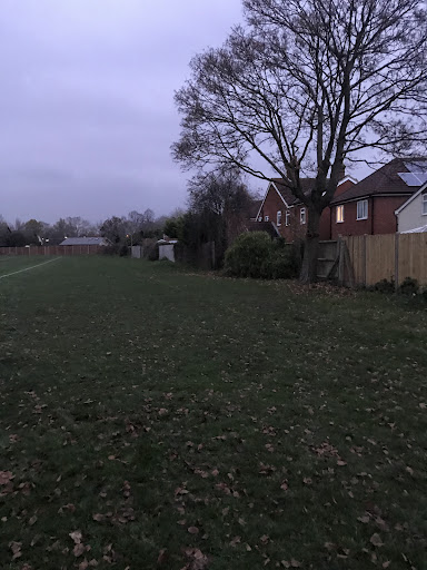 Loop Road Recreation Ground 20250808 195206 005