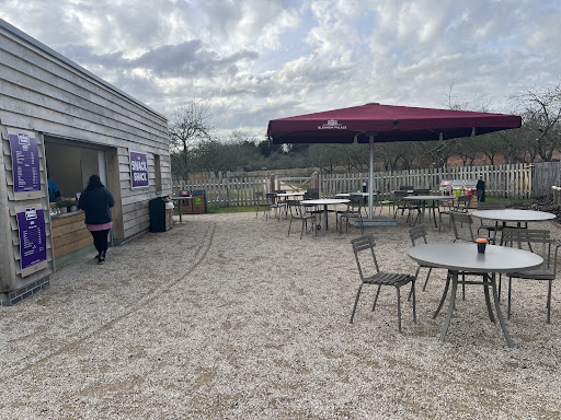 Lost Garden 20250808 183215 007