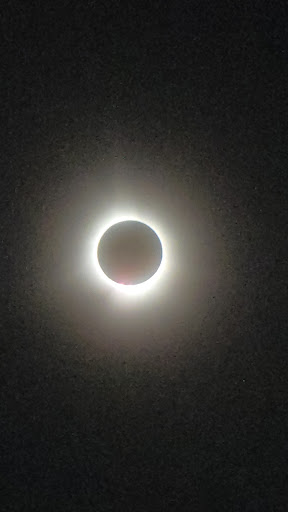 Lowe Park 20250727 050605 008