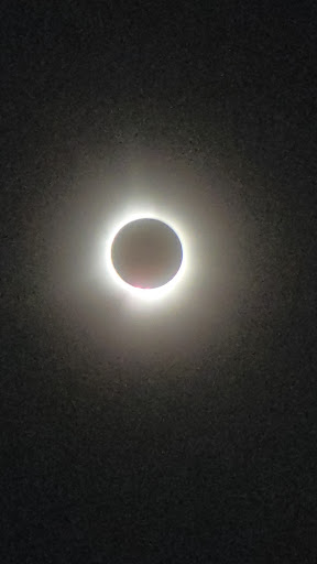 Lowe Park 20250727 050605 009