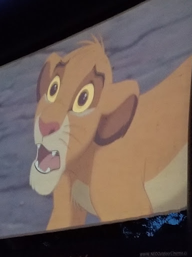 Lowe Park 20250727 050614 020