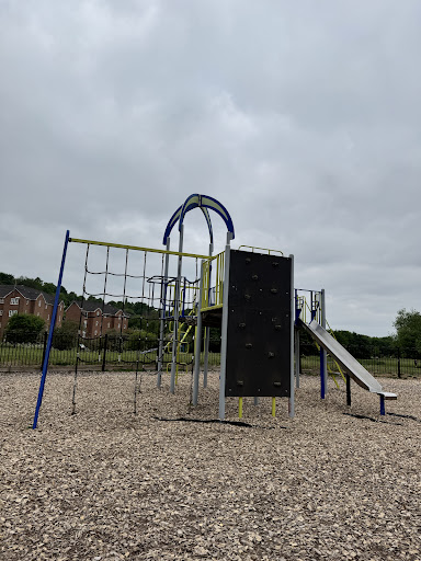 Lyme Valley Playground 20250808 172041 001