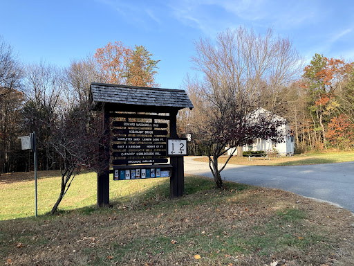 Macdowell Lake Playground 20250727 065556 002