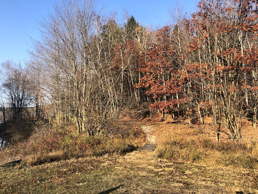 Macdowell Lake Playground 20250727 065600 007
