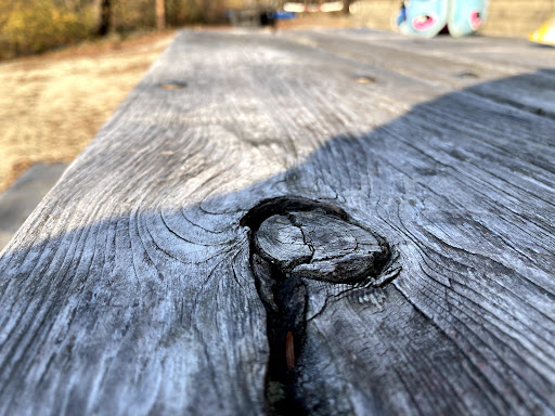 Macdowell Lake Playground 20250727 065602 009
