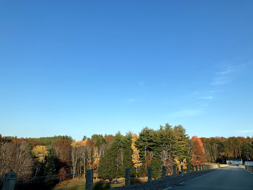 Macdowell Lake Playground 20250727 065604 011