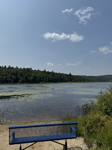 Macdowell Lake Playground 20250727 065607 014