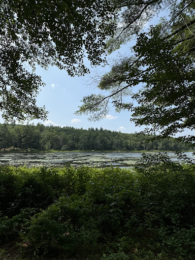 Macdowell Lake Playground 20250727 065609 017