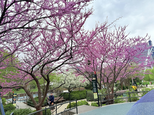 Maggie Daley Playground Mirrors 20250727 095957 002