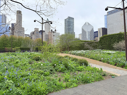 Maggie Daley Playground Mirrors 20250727 100000 004