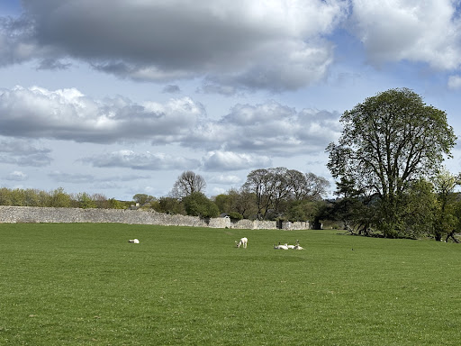 Mallow Castle Playground 20250819 230545 001