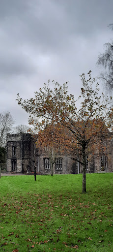Mallow Castle Playground 20250819 230547 003